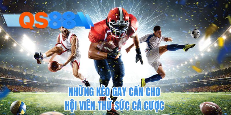 Những kèo gay cấn cho hội viên thử sức cá cược 